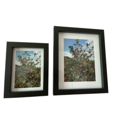 Holly for Christmas - 118 - Christmas beauty Small & Medium Framed in black or white